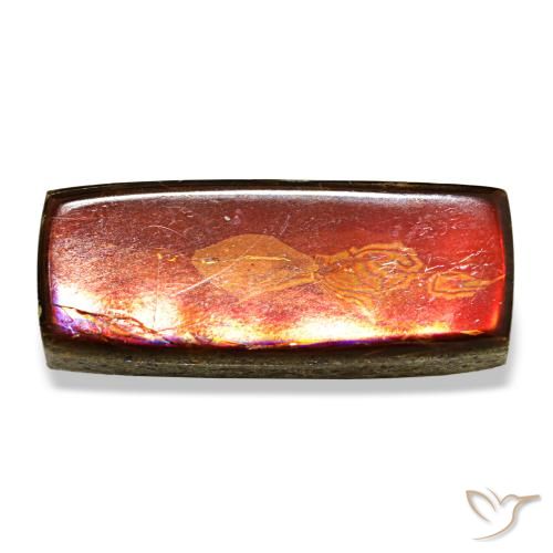 Ammolite multicolore naturelle baguette, 6,88 ct, opaque