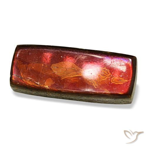 Ammolite multicolore naturelle baguette, 6,88 ct, opaque