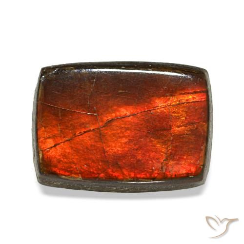 Ammolite multicolore naturelle baguette, 2,74 ct, opaque
