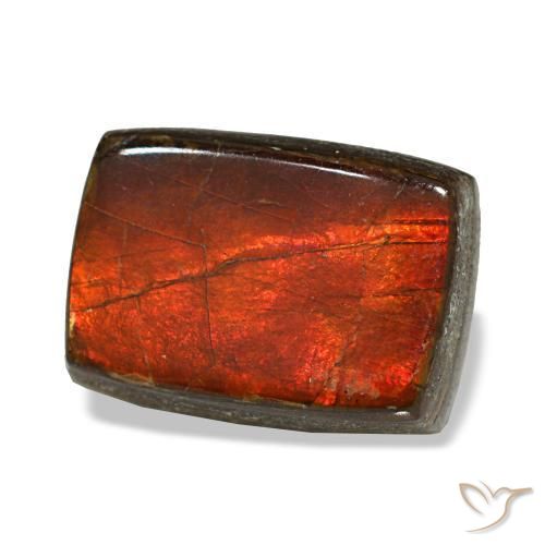Ammolite multicolore naturelle baguette, 2,74 ct, opaque