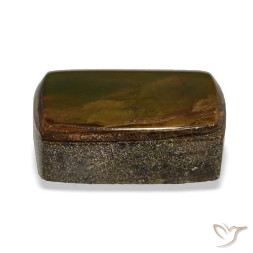 Ammolite multicolore naturelle baguette, 2,58 ct, opaque