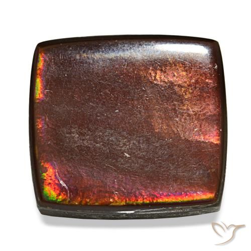 Ammolite multicolore naturelle baguette, 11,22 ct, opaque