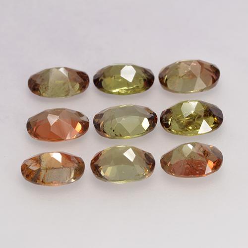Achetez naturel 2.90ct Multicolore Andalousite gems, Coupe ovale, En provenance Brésil chez GemSelect. En stock, livraison internationale!