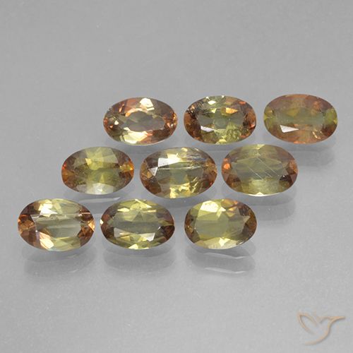 3.45ctw Naturel Multicolore Andalousite, ovale, VS-SI