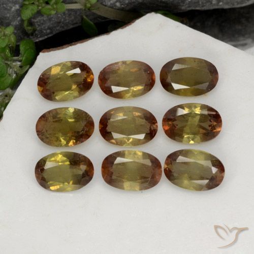 3.78ctw Naturel Multicolore Andalousite, ovale, VS-SI
