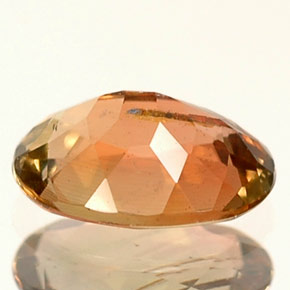 Andalousite Multicolore naturelle Coupe ovale, 0.56 ct, VVS-VS