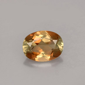 Andalousite Multicolore naturelle Coupe ovale, 1.25 ct, VS