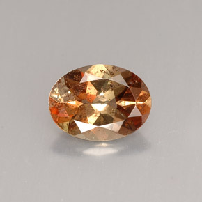 Andalousite multicolore naturelle coupe ovale, 1,17 ct, VS-SI