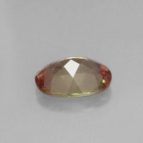 Andalousite Multicolore naturelle Coupe ovale, 1.15 ct, VS