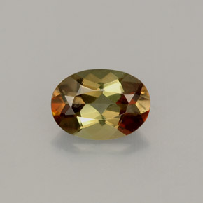 Andalousite multicolore naturelle coupe ovale, 0,77 ct, VVS-VS