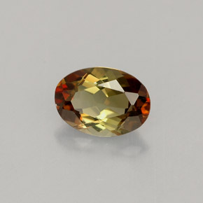 Andalousite Multicolore naturelle Coupe ovale, 0.77 ct, VVS-VS