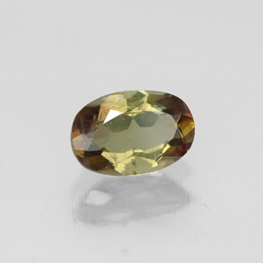 Andalousite multicolore naturelle coupe ovale, 0,47 ct, VS-SI
