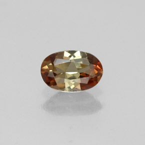 Andalousite Multicolore naturelle Coupe ovale, 0.37 ct, VS