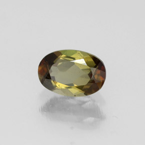 Andalousite multicolore naturelle coupe ovale, 0,50 ct, VVS-VS
