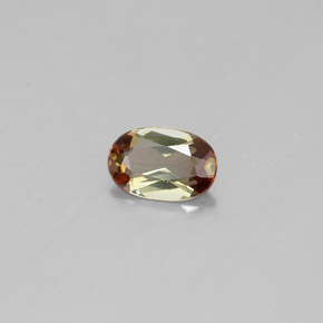 Andalousite Multicolore naturelle Coupe ovale, 0.33 ct, VVS-VS