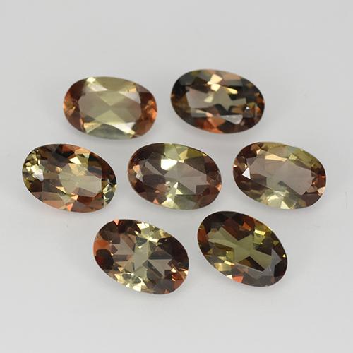 Achetez naturel 3,05ct multicolore andalousite gems, coupe ovale, en provenance brésil chez gemselect. en stock, livraison internationale!