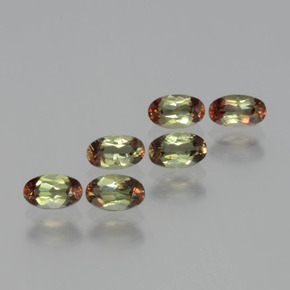 Achetez naturel 1.60ct Multicolore Andalousite gems, Coupe ovale, En provenance Brésil chez GemSelect. En stock, livraison internationale!