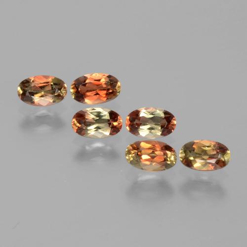 Achetez naturel 1,51ct multicolore andalousite gems, coupe ovale, en provenance brésil chez gemselect. en stock, livraison internationale!