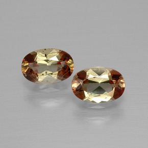 Achetez naturel ct Multicolore Andalousite gems, Coupe ovale, En provenance Brésil chez GemSelect. En stock, livraison internationale!