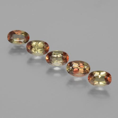 Achetez naturel 2.62ct Multicolore Andalousite gems, Coupe ovale, En provenance Brésil chez GemSelect. En stock, livraison internationale!