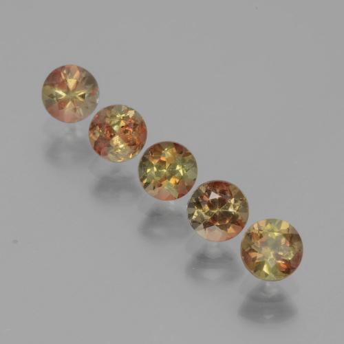 Achetez naturel 1,60ct multicolore andalousite gems, coupe roude, en provenance brésil chez gemselect. en stock, livraison internationale!