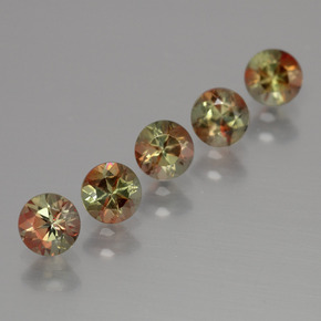 Achetez naturel ct Multicolore Andalousite gems, Coupe roude, En provenance Brésil chez GemSelect. En stock, livraison internationale!