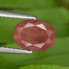 Andésine labradorite rouge naturelle coupe ovale, 1,43 ct, VS