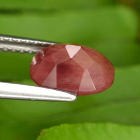 Andésine labradorite rouge naturelle coupe ovale, 1,43 ct, VS