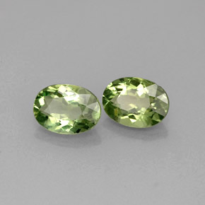 Achetez naturel ct Vert Apatite gems, Coupe ovale, En provenance Madagascar chez GemSelect. En stock, livraison internationale!