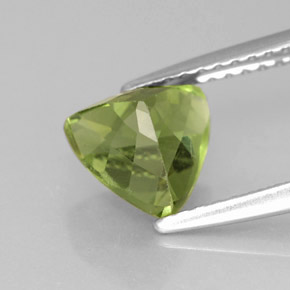 Apatite vert naturelle trillion, 1,61 ct, VS