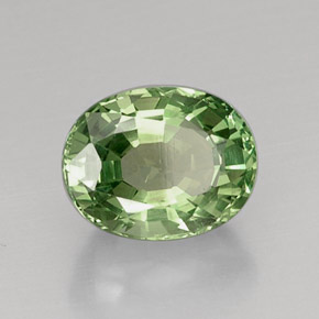 Apatite vert naturelle coupe ovale, 7,67 ct, VVS-VS