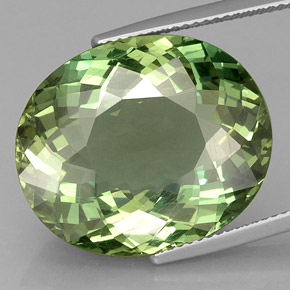 Apatite vert naturelle coupe ovale, 24,47 ct, VVS-VS