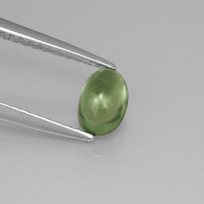 Apatite vert naturelle coupe ovale, 0,63 ct, transparent