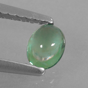 Apatite vert naturelle coupe ovale, 0,33 ct, transparent
