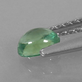 Apatite vert naturelle coupe ovale, 0,33 ct, transparent