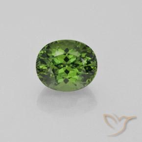 Apatite Forêt verte naturelle Coupe ovale, 4.92 ct, VS