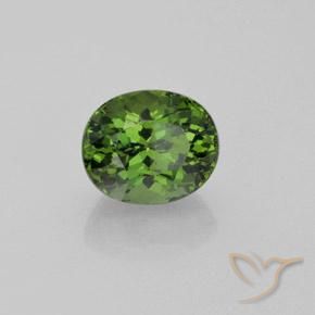Apatite Forêt verte naturelle Coupe ovale, 4.92 ct, VS
