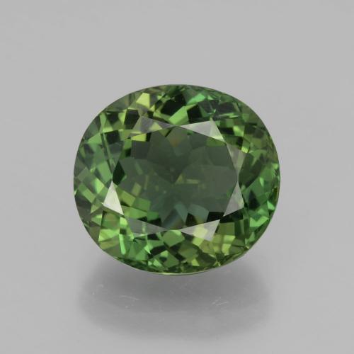 Apatite vert naturelle coupe ovale, 6,01 ct, VVS-VS