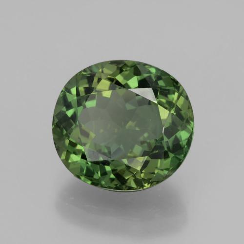 Apatite vert naturelle coupe ovale, 6,01 ct, VVS-VS