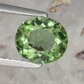 Apatite vert naturelle coupe ovale, 1,58 ct, VS