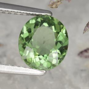 Apatite vert naturelle coupe ovale, 1,58 ct, VS