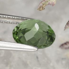 Apatite vert naturelle coupe ovale, 1,58 ct, VS