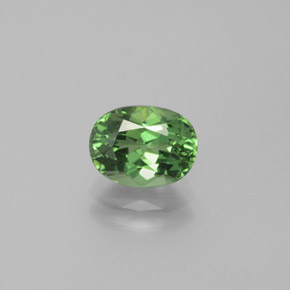 Apatite vert naturelle coupe ovale, 1,69 ct, VVS-VS