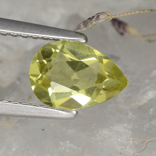 Apatite Vert forêt chaud naturelle En forme de poire, 1.11 ct, VS