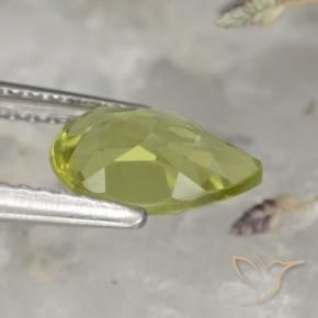 Apatite Vert forêt chaud naturelle En forme de poire, 1.40 ct, VS
