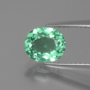 Apatite vert naturelle coupe ovale, 1,17 ct, VVS-VS