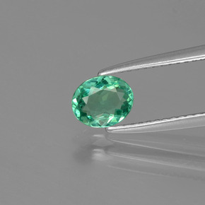Apatite Vert naturelle Coupe ovale, 0.59 ct, VVS-VS