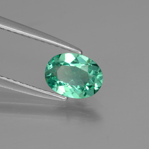 Apatite vert naturelle coupe ovale, 0,77 ct, VS