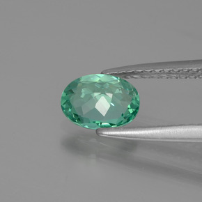 Apatite vert naturelle coupe ovale, 0,77 ct, VS