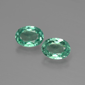 Achetez naturel ct Vert Apatite gems, Coupe ovale, En provenance Madagascar chez GemSelect. En stock, livraison internationale!